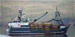 6 Boats That Sunk on Deadliest Catch from Season 1 to 19