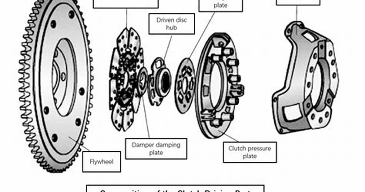 A Comprehensive Guide to Elly Clutch of Leak