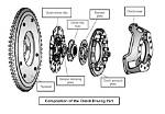 A Comprehensive Guide to Elly Clutch of Leak