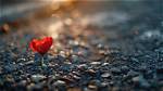 A Heartwarming Journey of Love and Hope