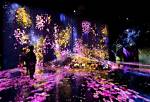 A Journey into Immersive Digital Art