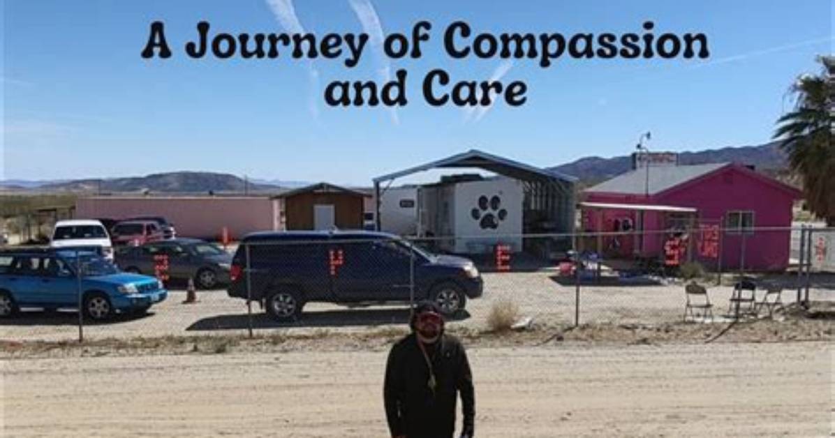 A Journey of Compassion and Animal Care