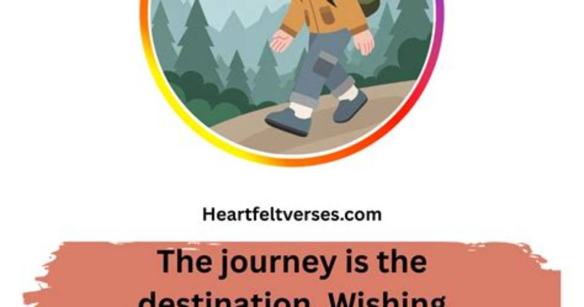 A Journey of Heartfelt Discoveries