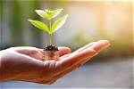 A Journey of Inheritance, Investments, and Philanthropy