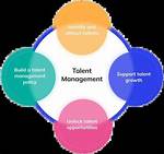 A Journey of Talent, Love, and Success