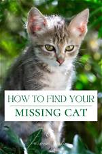 A Journey to Find the Missing Cat