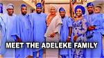 Adeleke Family Net Worth: Unraveling the Wealth of a Prominent Clan