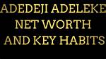 Adelekes' Wealth: an Insight into Adeleke Net Worth 2023