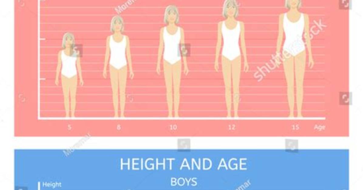 Age, Height, Partner, and More