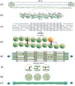 Ages, Profiles, and Influence Revealed