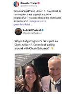 Alison R. Greenfield and Trump's Blame Game