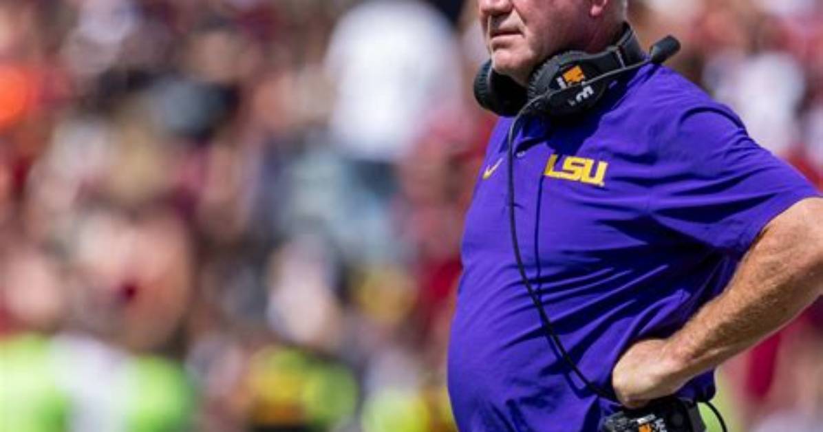 All About Lsu Coach ·