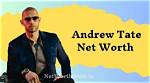 Andrew Conru Net Worth, Income, Salary, Earnings, Biography