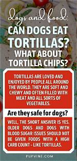 Are Tortilla Chips Bad for Dogs? Understanding the Risks