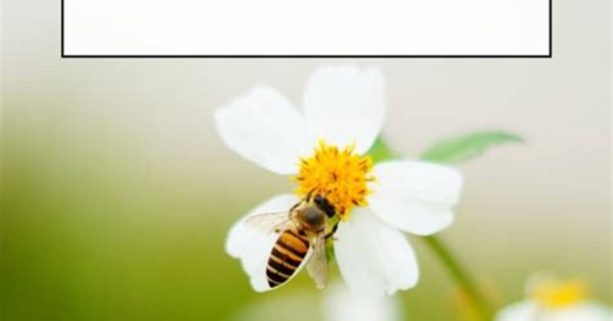 Are You Having Dreams About Bees? Here Is What It Means