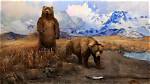 Bears of the Last Frontier | Brown Bear Facts | Nature