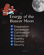 Beaver Moon: the Meaning of November's Full Moon, According to an Astrologer