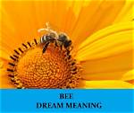 Bee Dream Meanings | Snogblogy