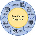 Berner Cancer: Understanding This Rare Disease