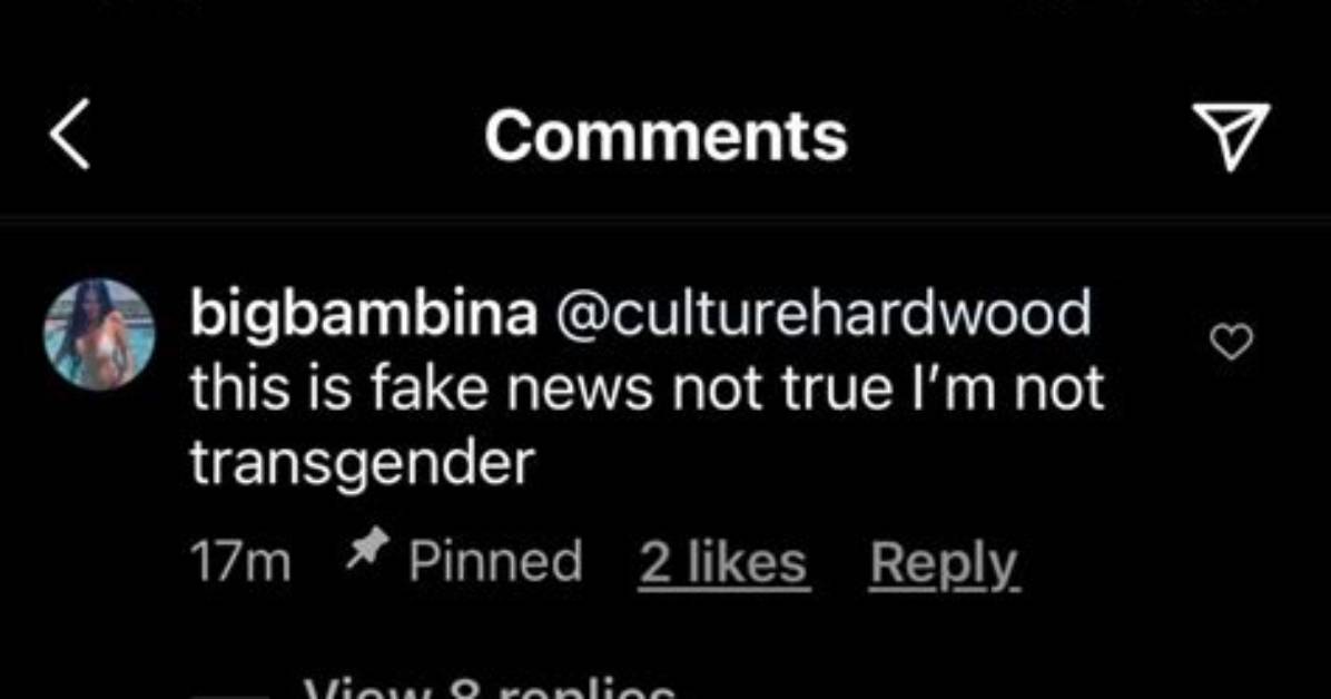 Big Bambina Is Not a Transgender: Dillon Brooks [2023 Update]