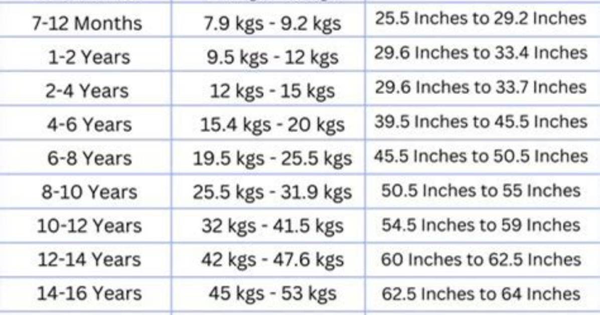 Bio-Wiki, Wife, Kids, Weight ·