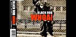 Black Rob's Net Worth and Untold Revelations
