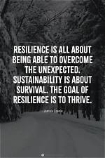 Brea Bowlin: a Journey Through Passion and Resilience