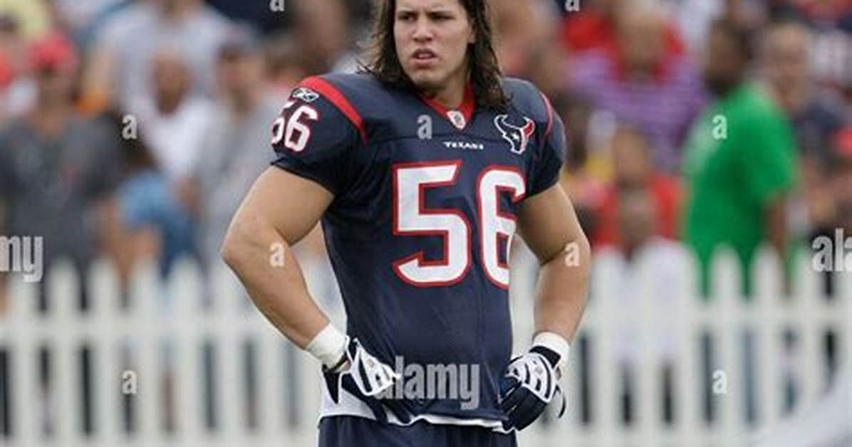 Brian Cushing Net Worth 2024 ·