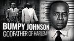 Bumpy Johnson: the Legendary Harlem Godfather