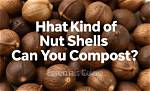 Can Nut Shells Go in Compost? |