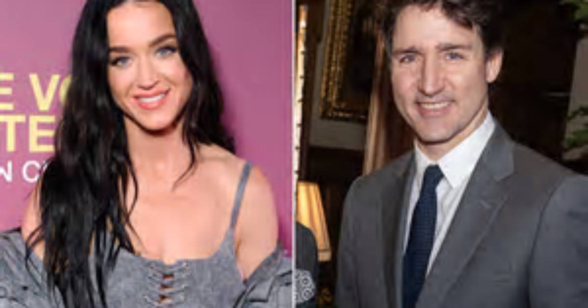 Catfish Guest's Romance with Katy Perry Was Nothing but a Teenage Dream