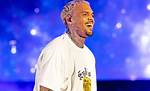 Chris Brown's Net Worth: a Fortune in Entertainment