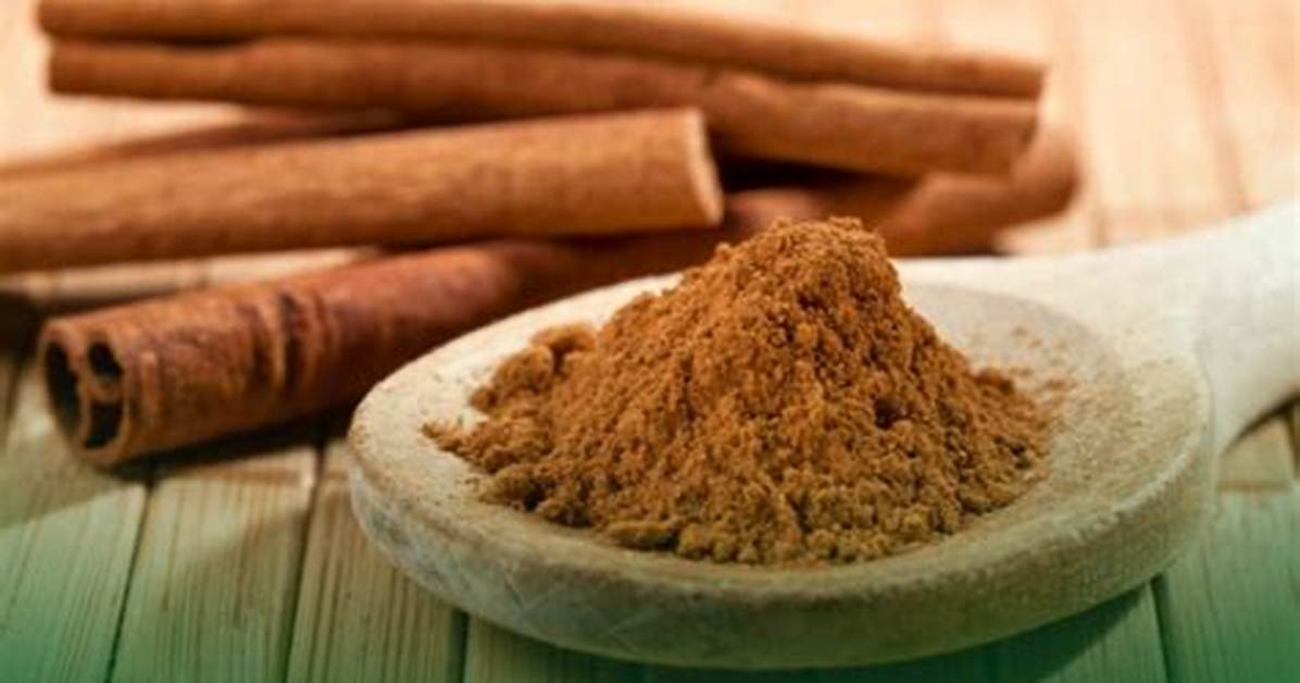 Cinnamon: a Natural Solution to Get Rid of Mice