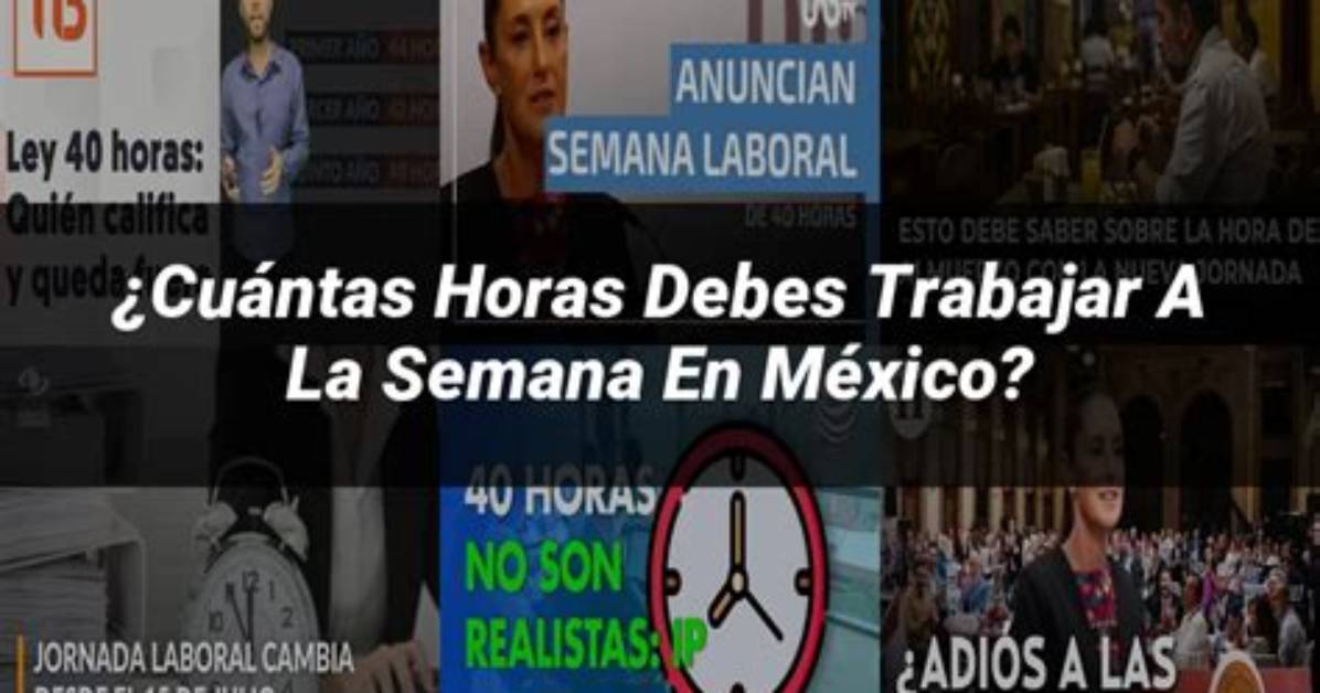Cuntas Horas a La Semana Puedes Trabajar Con Amazon Flex? Celebrity. Fm |