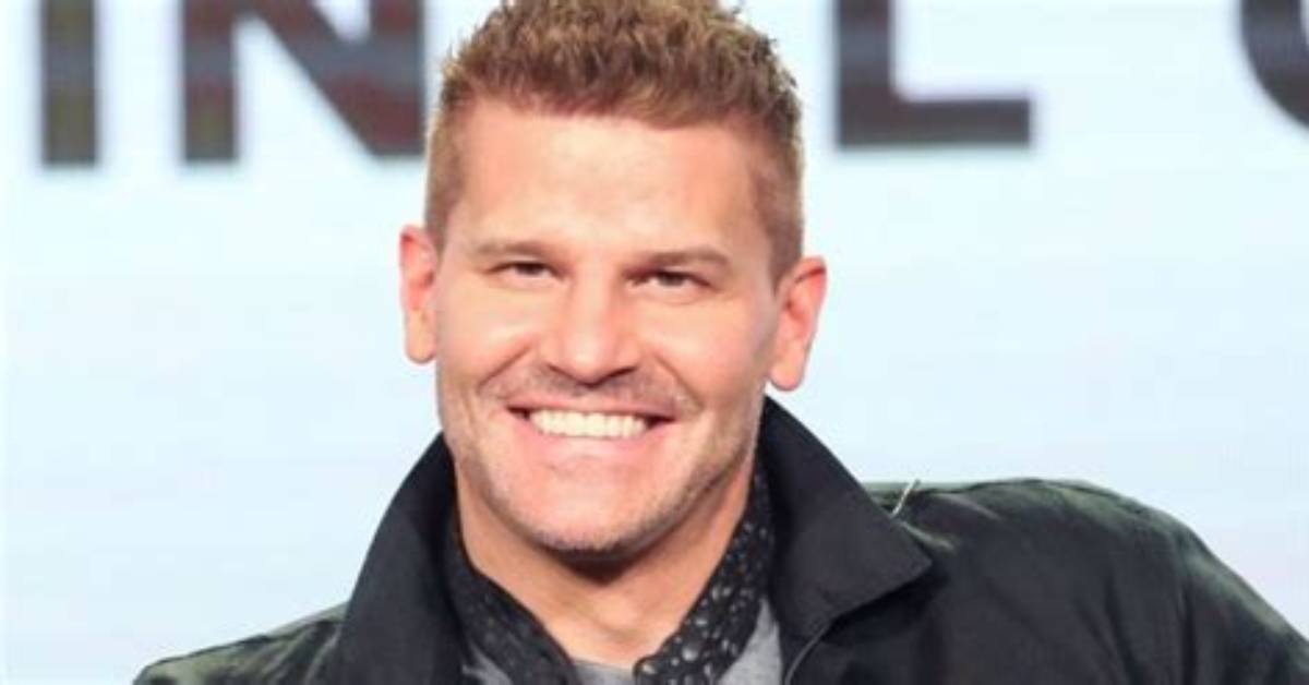 David Boreanaz- Wiki, Age, Height, Wife, Net Worth, Ethnicity |