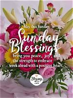 Delightful Sunday: Embrace the Joy of a New Day