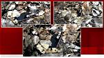 Delphi Murders Leaked Texts Revealed the Evidence Behind Death