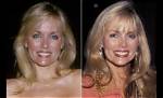 Dian Parkinson: the Life and Career of a Renowned Model and Actress