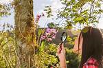 Discover the Beauty of Nature with Distribuidora Flower Shop El Chapin