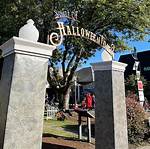 Discover the Enchanting World: Living in Halloweentown