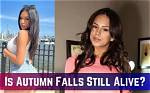 Discover the Height of Autumn Falls