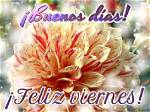 Discover the Magic of "Buenos Dias Feliz Y Bendecido Martes"