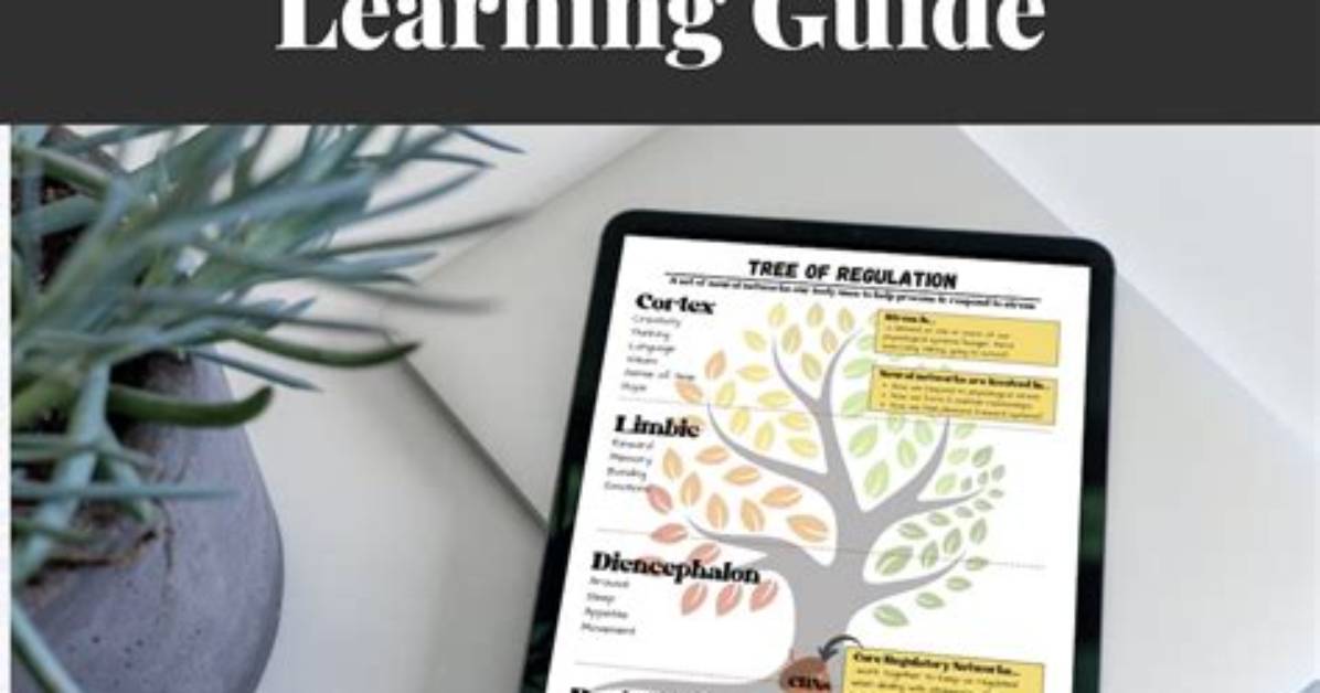 Discover the Neuroscience of Learning: Unraveling the Genius of Andrew D. Huberman