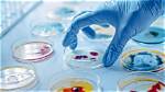 Discoveries and Insights from Chromazz Bio