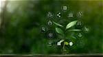 Discoveries and Insights into a Legacy of Sustainability and Impact