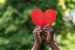 Discoveries Within the Nexus of Love, Philanthropy, and Art