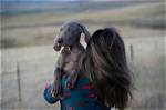 Discovering the Charm of Skirby Dogs