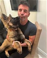 Discovering the Furry Companion: Simon Cowell's Dog Name