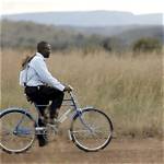 Do Jehovah Witnesses Ride Bikes ·