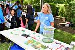 Education, Healthcare, and Environmental Champion
